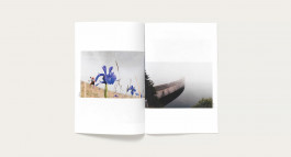 Brighten the Corners